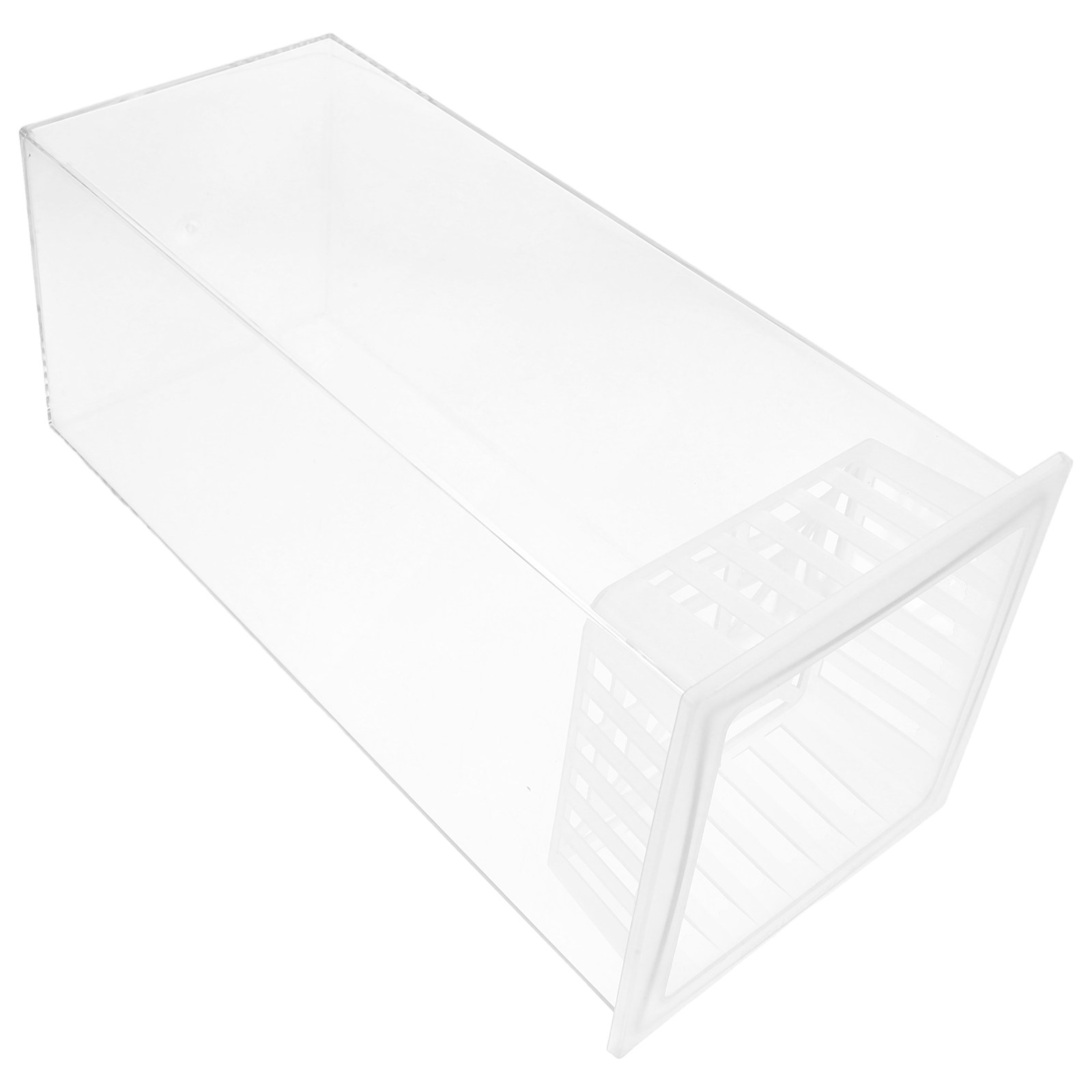 Mini Plastic Fish Tank Small L - Planted Aquarium For Betta のレビューと価格