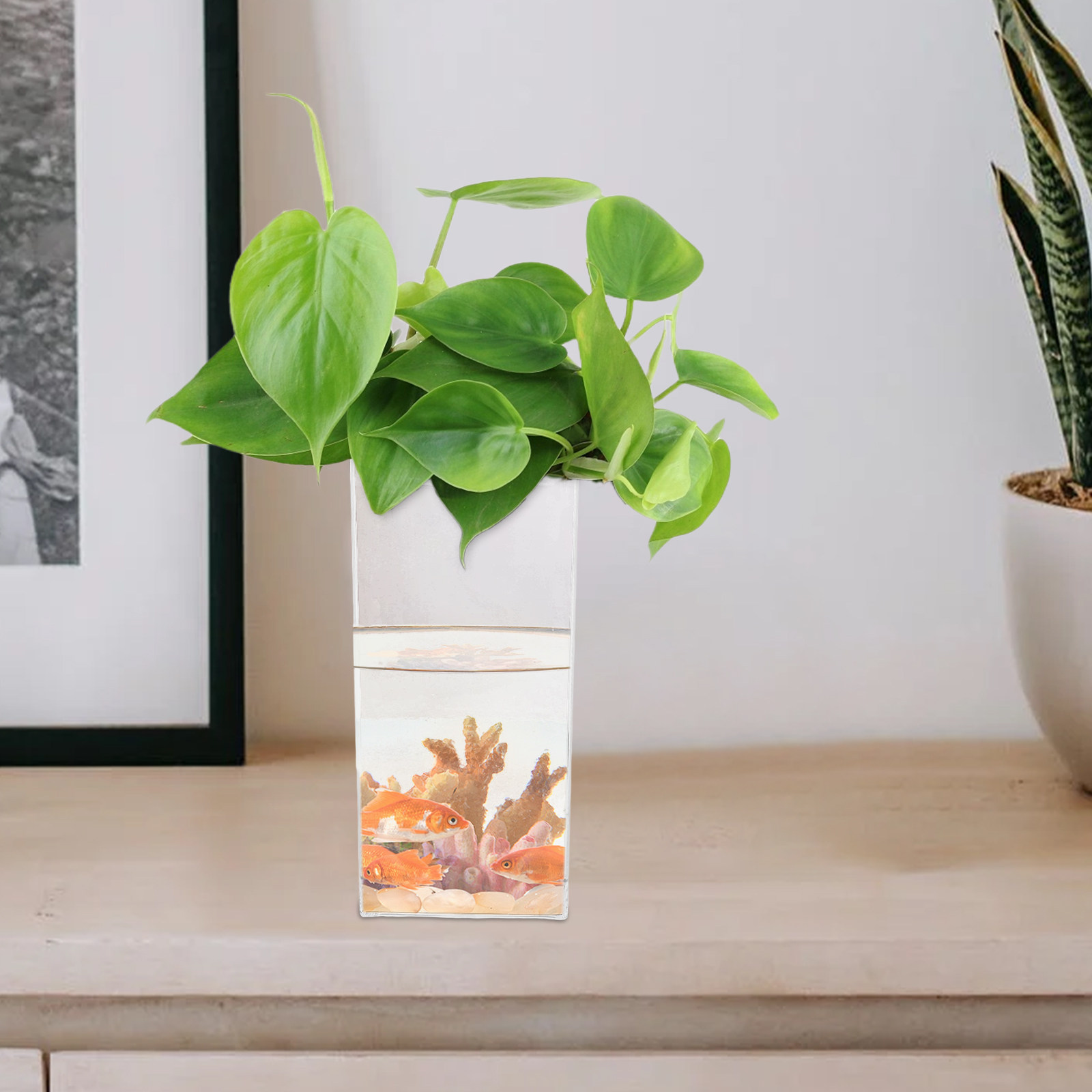 Mini Plastic Fish Tank Small L - Planted Aquarium For Betta のレビューと価格