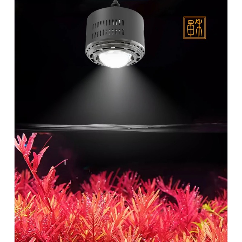 100W Timed Dimming Full Spectr - Planted Aquarium Algae のレビューと価格