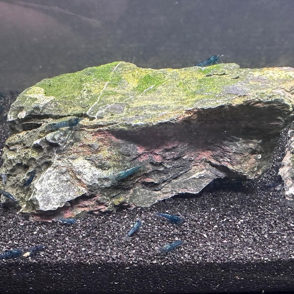 YISZM Aquarium Sand, 20lbs Bla - Aquarium Planted Substrate のレビューと価格