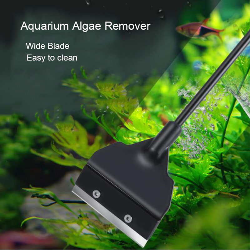 Wide Blade 6cm Light Weight Aq - Planted Aquarium Algae のレビューと価格