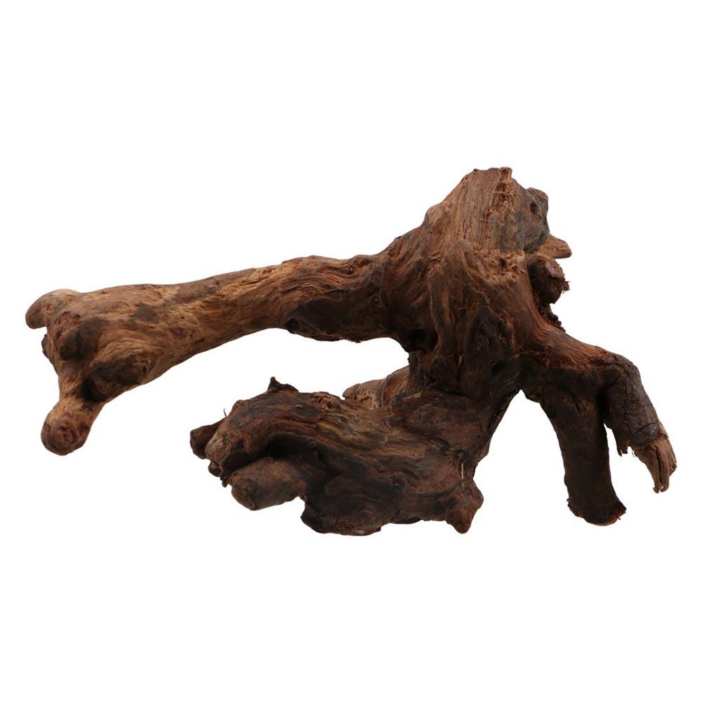 Creative Irregular Shape Coral - Aquarium Planted Substrate のレビューと価格