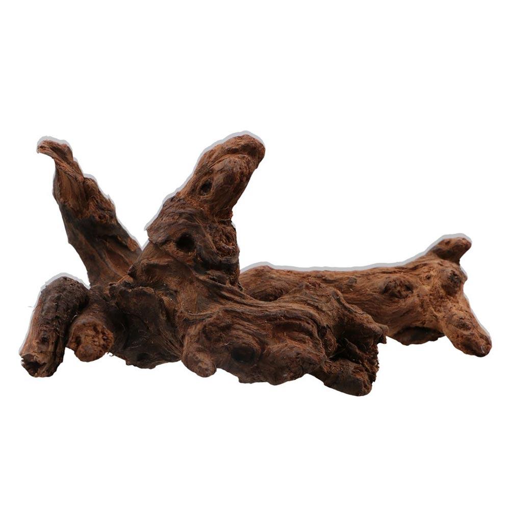 Creative Irregular Shape Coral - Aquarium Planted Substrate のレビューと価格