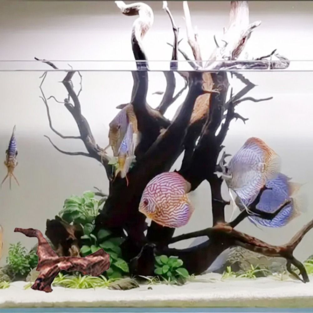 Creative Irregular Shape Coral - Aquarium Planted Substrate のレビューと価格