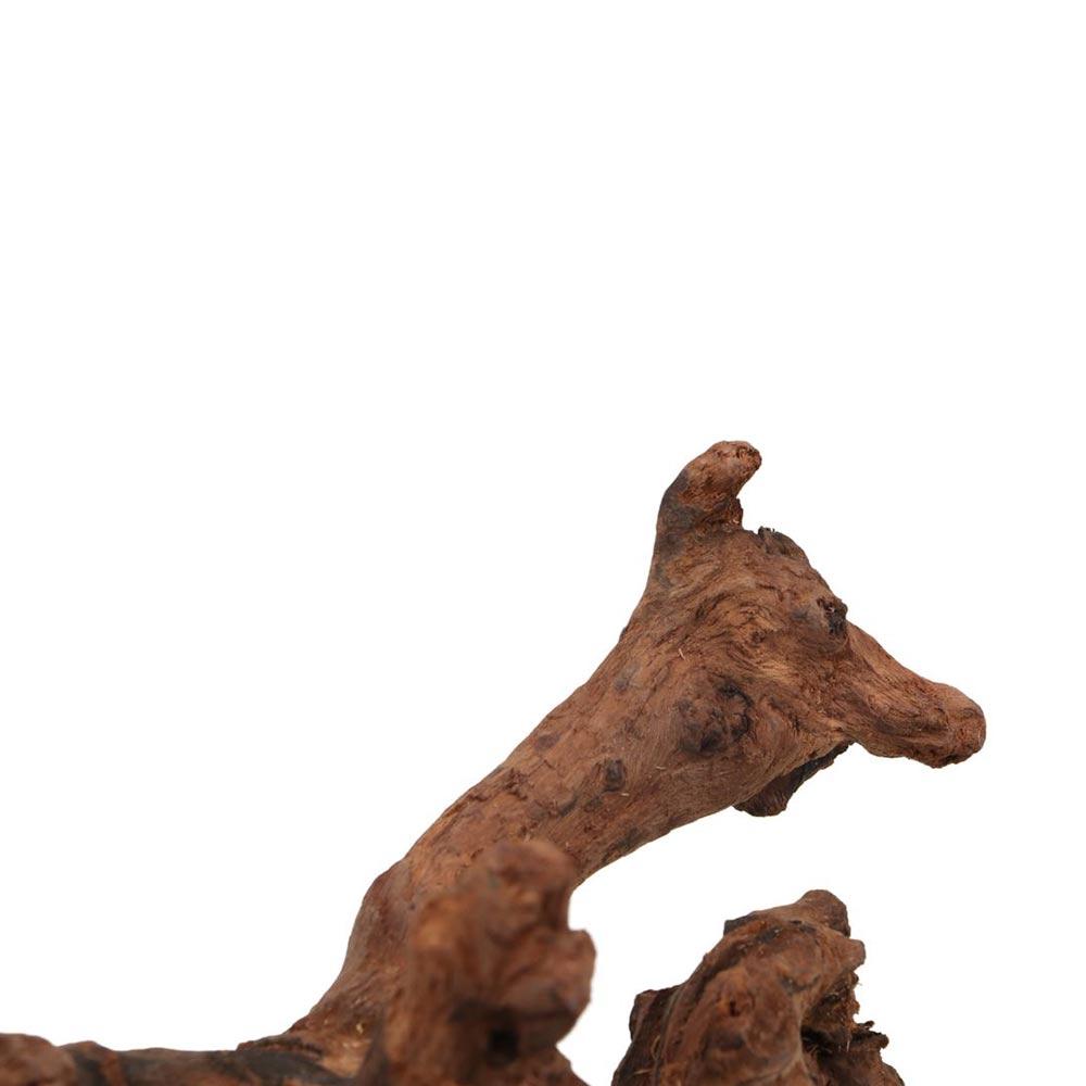 Creative Irregular Shape Coral - Aquarium Planted Substrate のレビューと価格