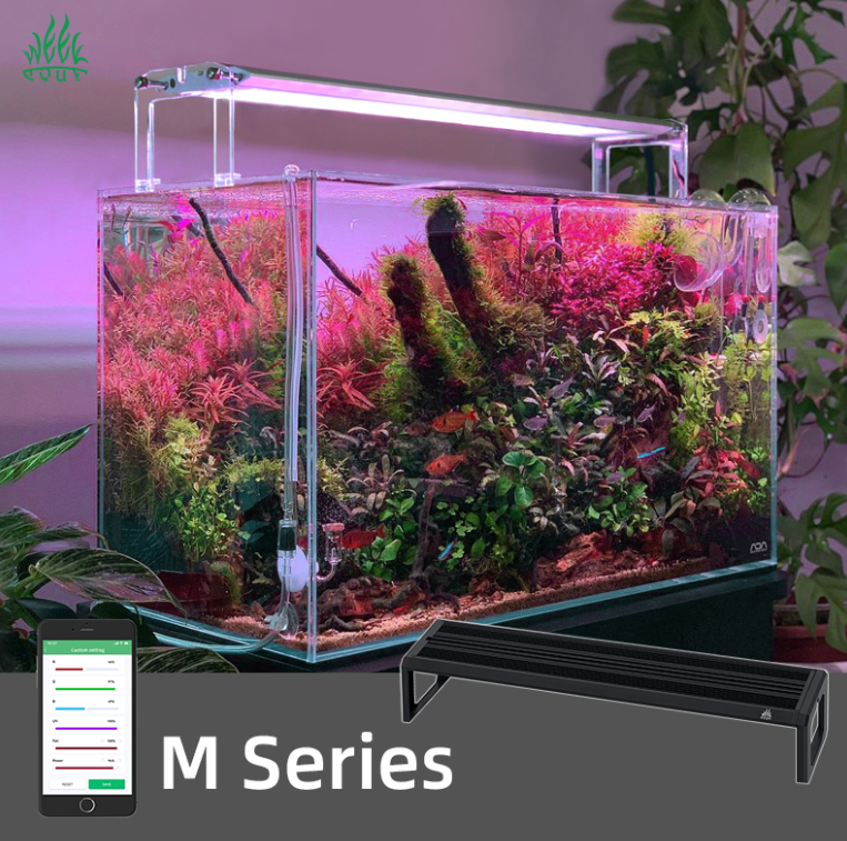 WEEK AQUA M Series 400mm Aquar - Planted Aquarium Products のレビューと価格