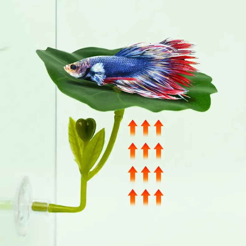 1 Pc Green Leaf Betta Fish Ham - Planted Aquarium For Betta のレビューと価格