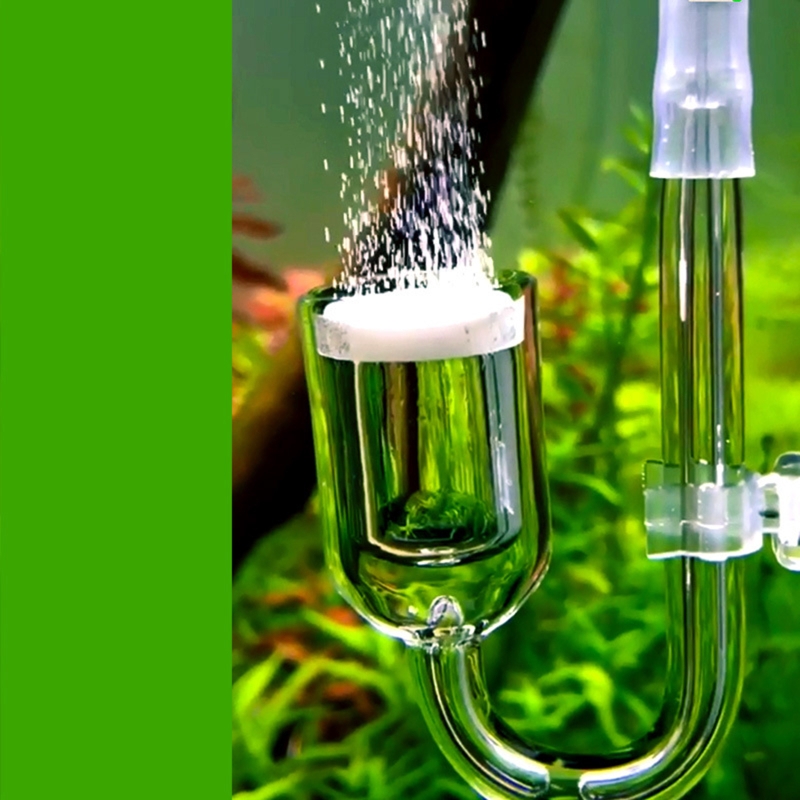 Nano CO2 Diffuser Glass Atomiz - Planted Aquarium Products のレビューと価格