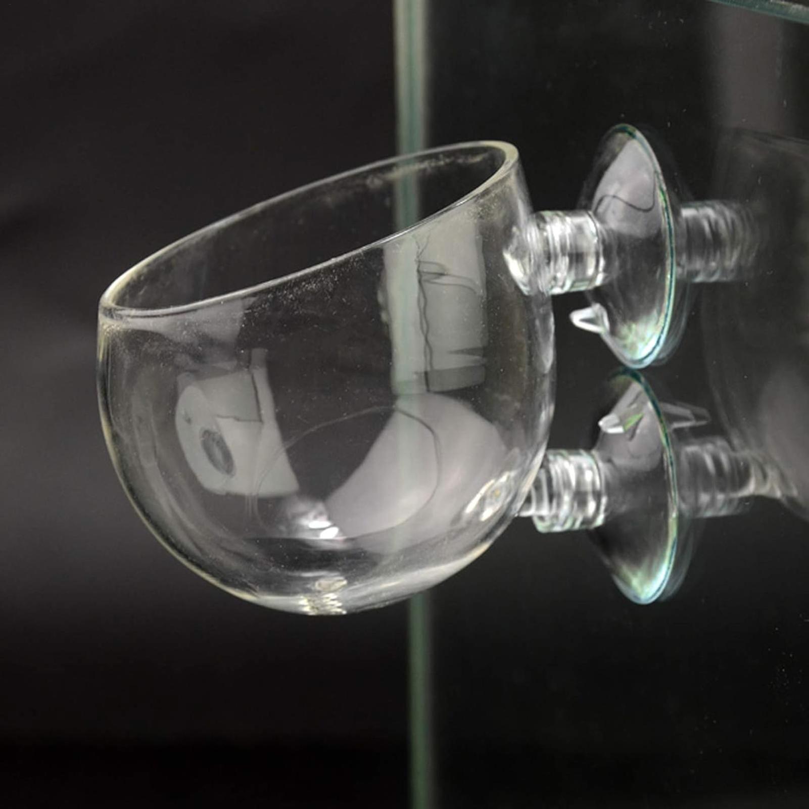 Aquarium Plant Holder Glass Aq - Aquarium Plant Vine のレビューと価格