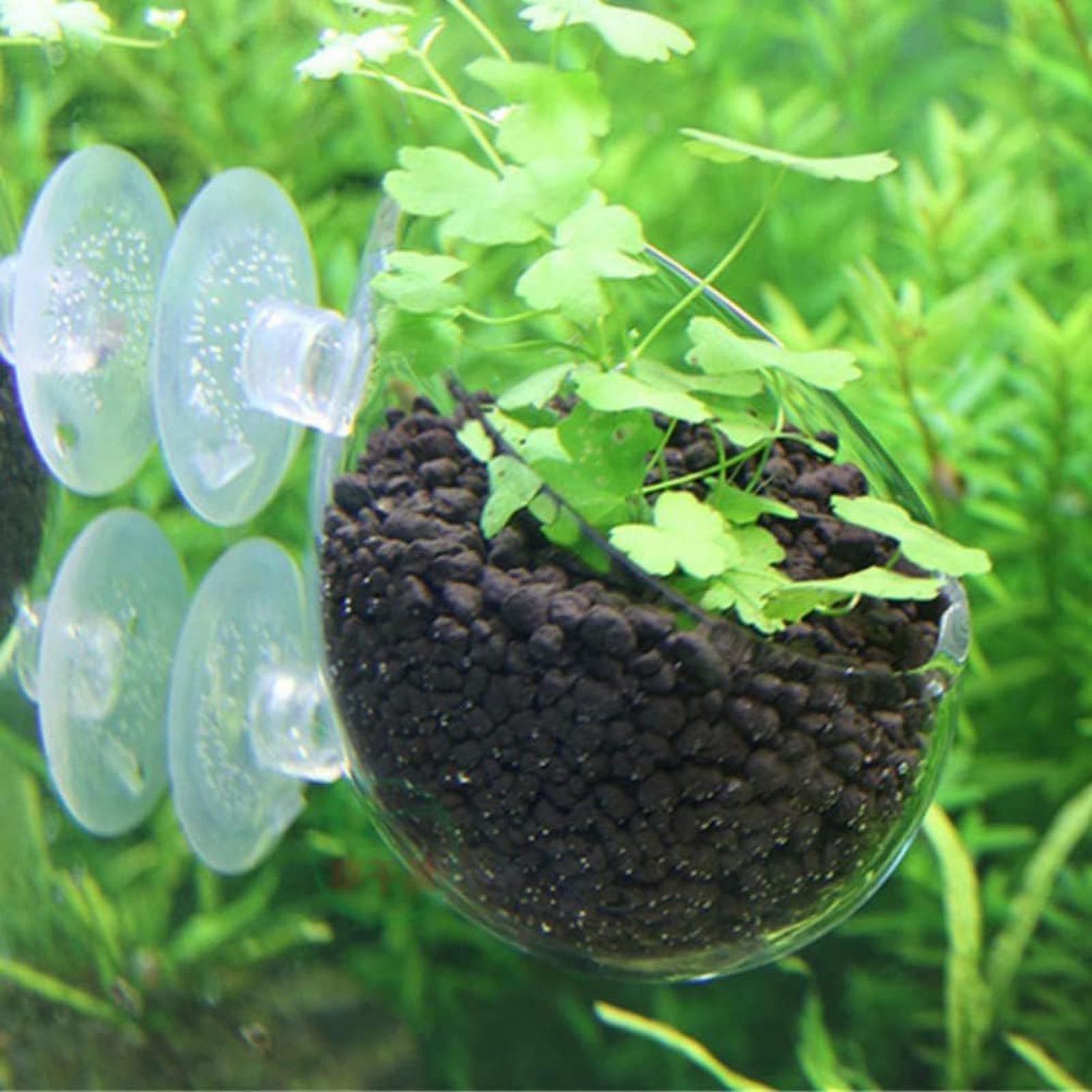 Aquarium Plant Holder Glass Aq - Aquarium Plant Vine のレビューと価格
