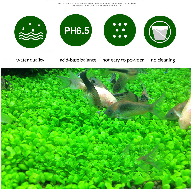 Aquarium Plant Seeds Soil Fish - Aquarium Planted Substrate のレビューと価格