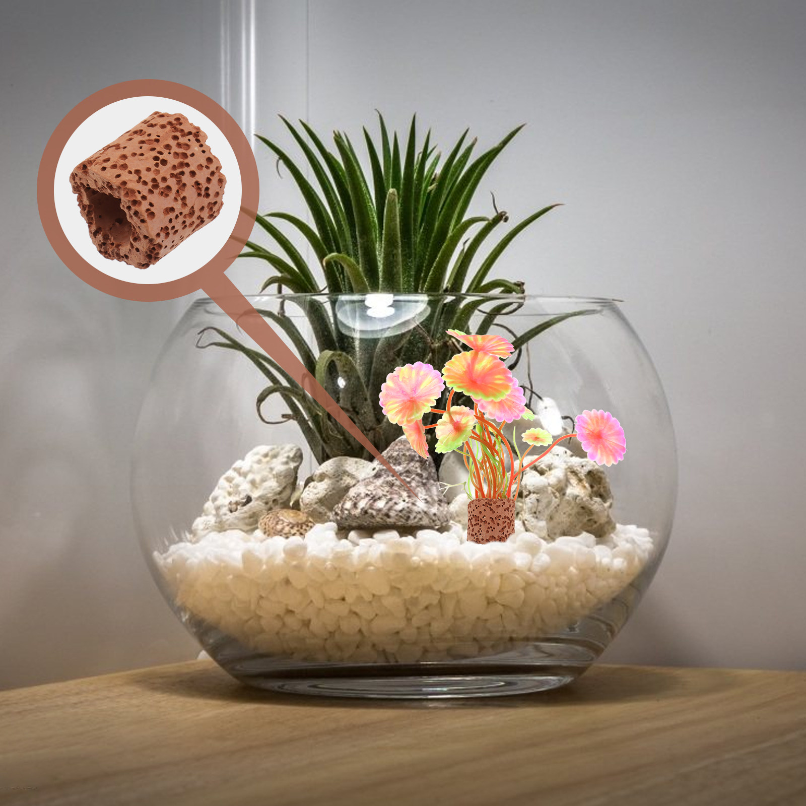 10Pcs Sturdy Water Plant Fixed - Aquarium Plants のレビューと価格