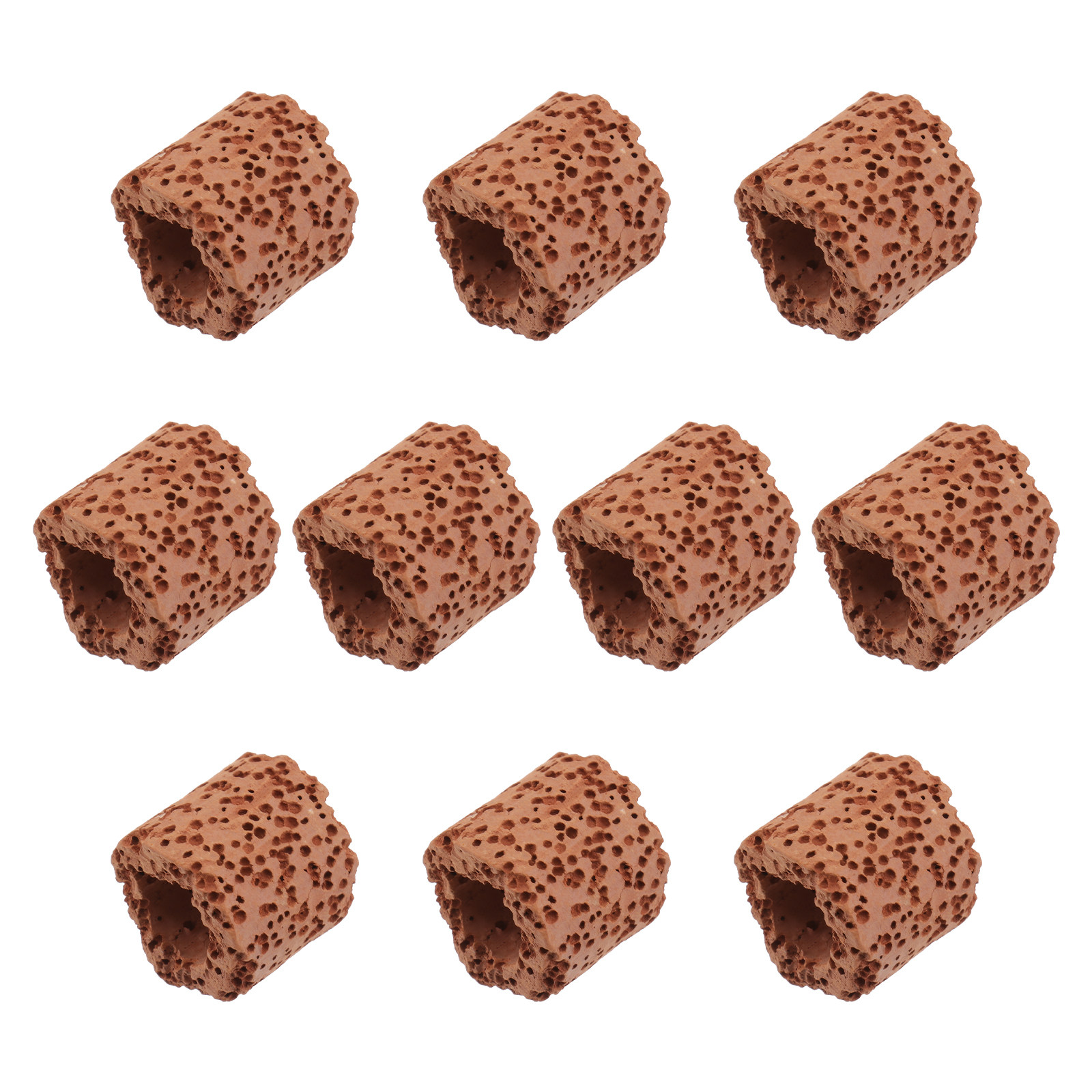 10Pcs Sturdy Water Plant Fixed - Aquarium Plants のレビューと価格
