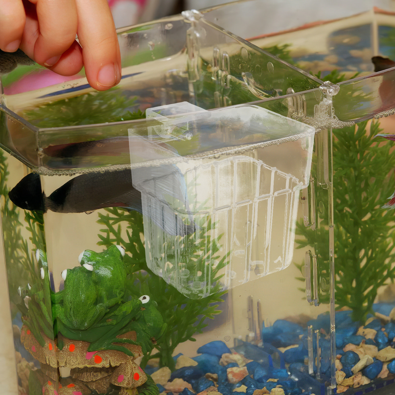 8Pcs Aquarium Planter Cups: Cl - Aquarium Planted Set Up のレビューと価格