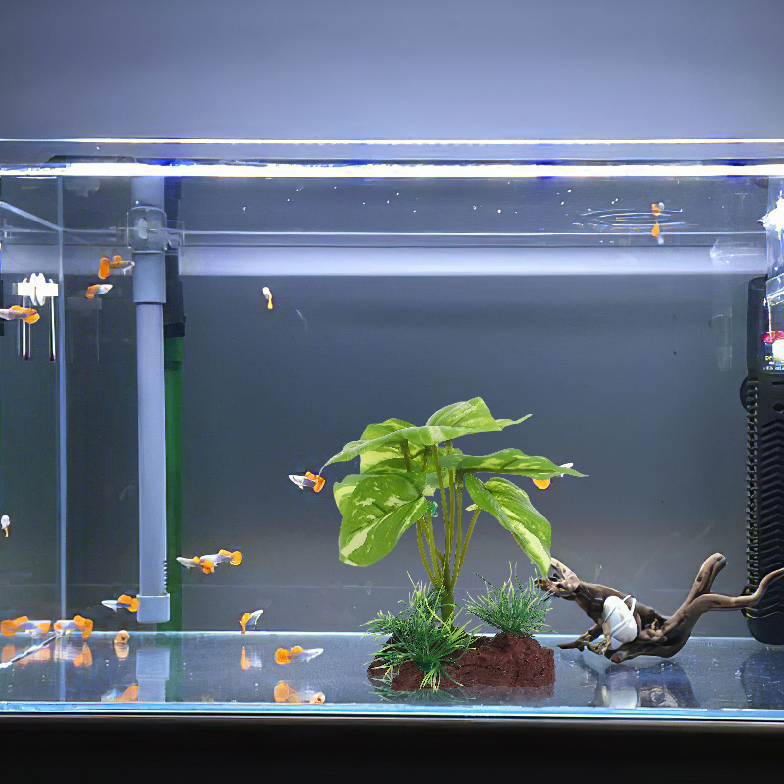 Premium Artificial Aquarium Pl - Aquarium Planted Set Up のレビューと価格