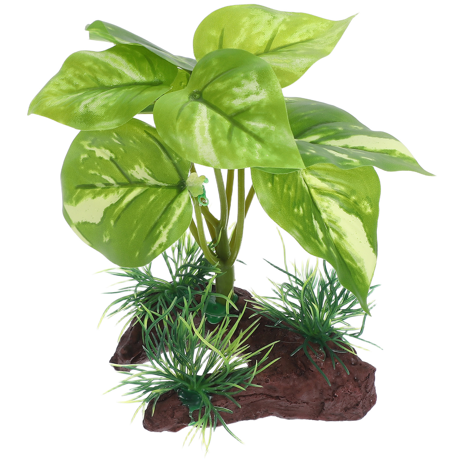 Premium Artificial Aquarium Pl - Aquarium Planted Set Up のレビューと価格