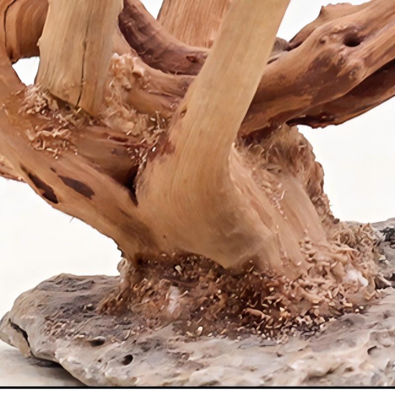 1PC Aquarium Landscaping Wood  - Aquarium Planted Substrate のレビューと価格