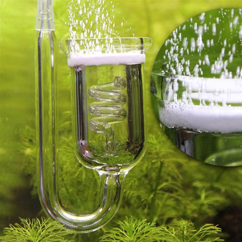 Durable Glass CO2 Diffuser Aqu - Aquarium Planted Set Up のレビューと価格