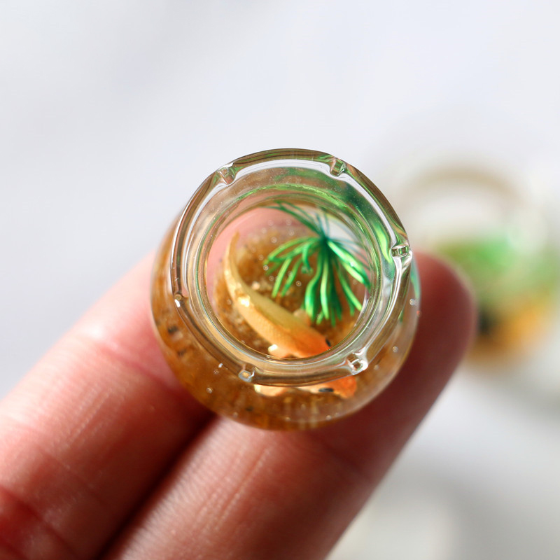 1Pc 1:12 Mini DollHouse Simula - Planted Aquarium Models のレビューと価格