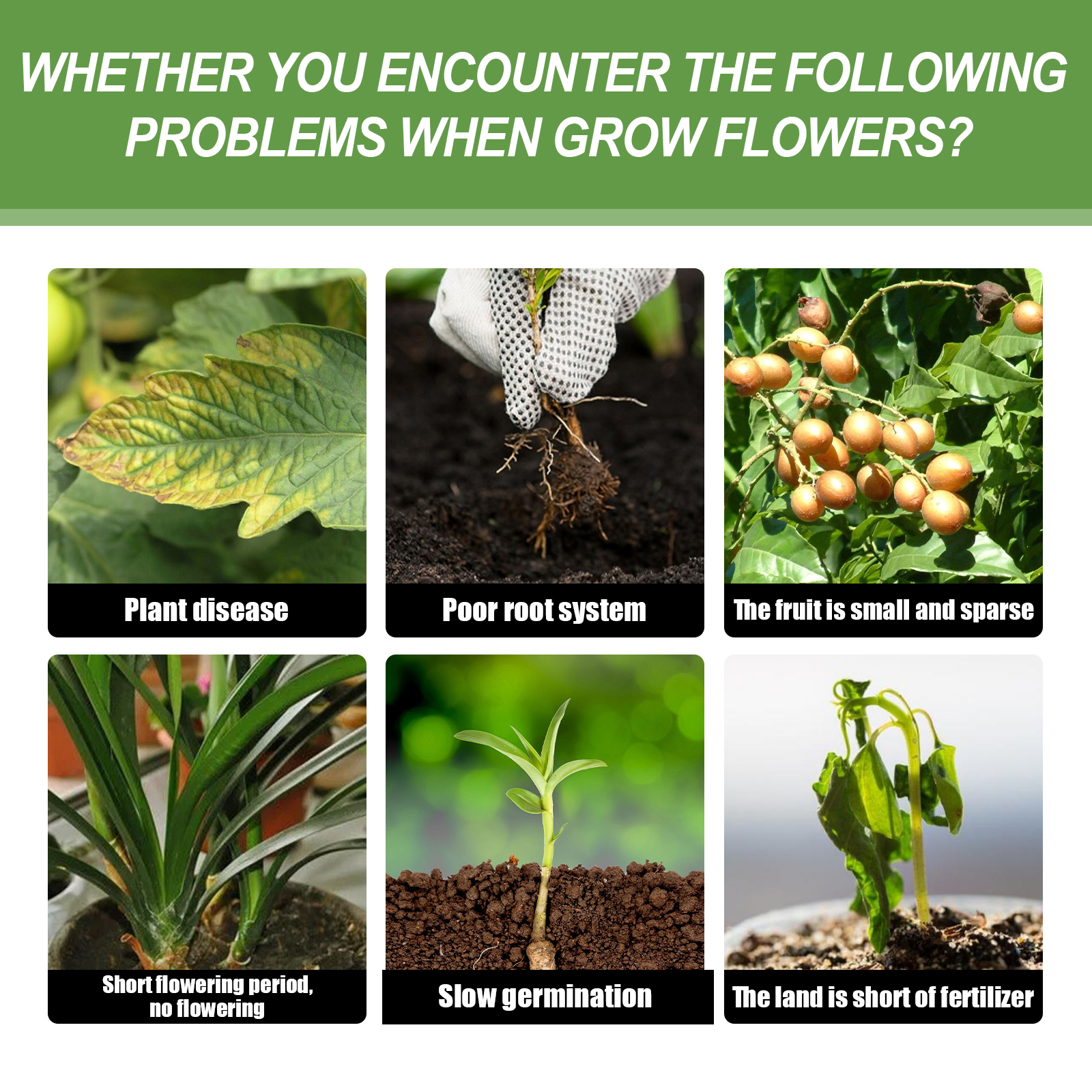 30ML All Purpose Green Plant N - Liquid Fertilizer All In のレビューと価格