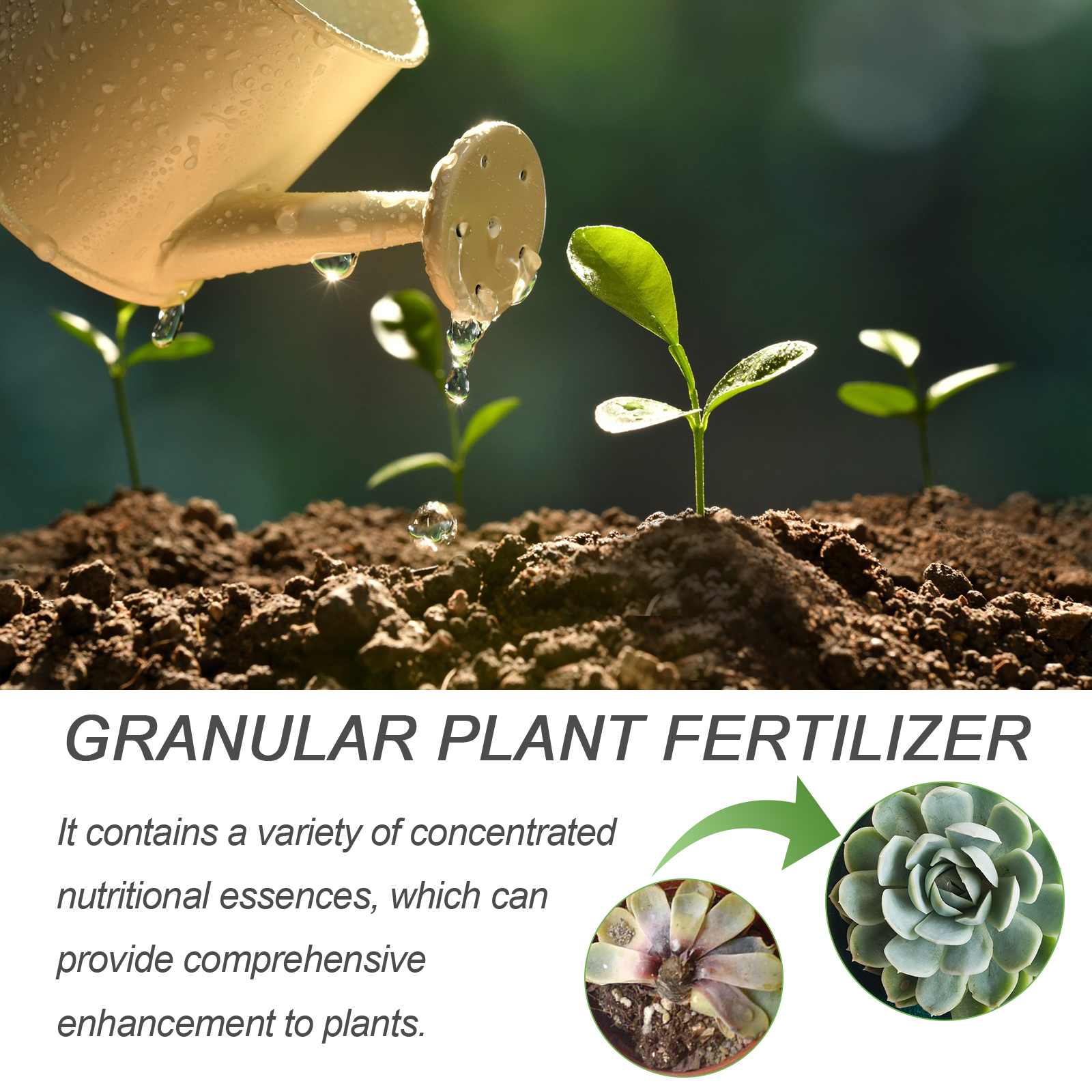 30ML All Purpose Green Plant N - Liquid Fertilizer All In のレビューと価格