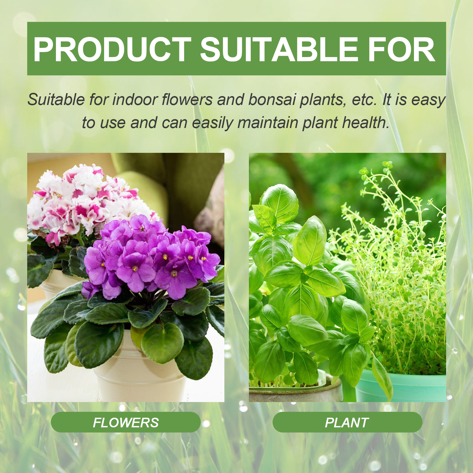 30ML All Purpose Green Plant N - Liquid Fertilizer All In のレビューと価格