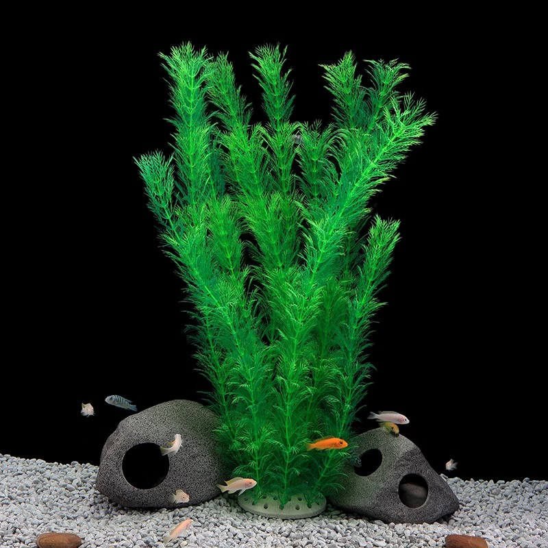 Ilan High Model Large Water Gr - Planted Aquarium Models のレビューと価格