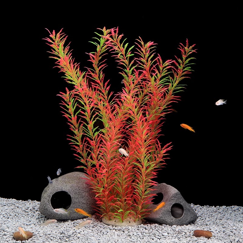 Ilan High Model Large Water Gr - Planted Aquarium Models のレビューと価格