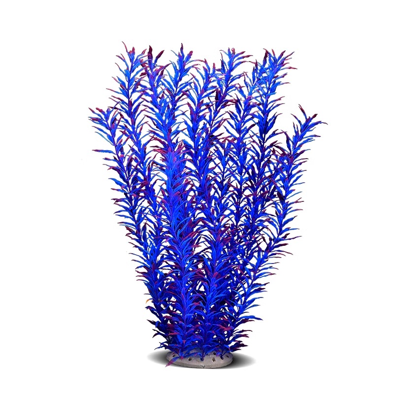 Ilan High Model Large Water Gr - Planted Aquarium Models のレビューと価格