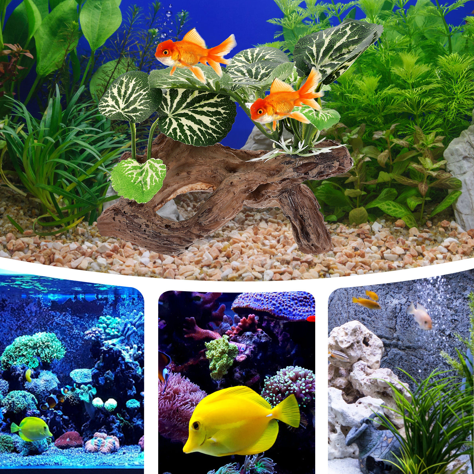 Aquarium Landscape Trunk Fish  - Planted Aquarium Models のレビューと価格