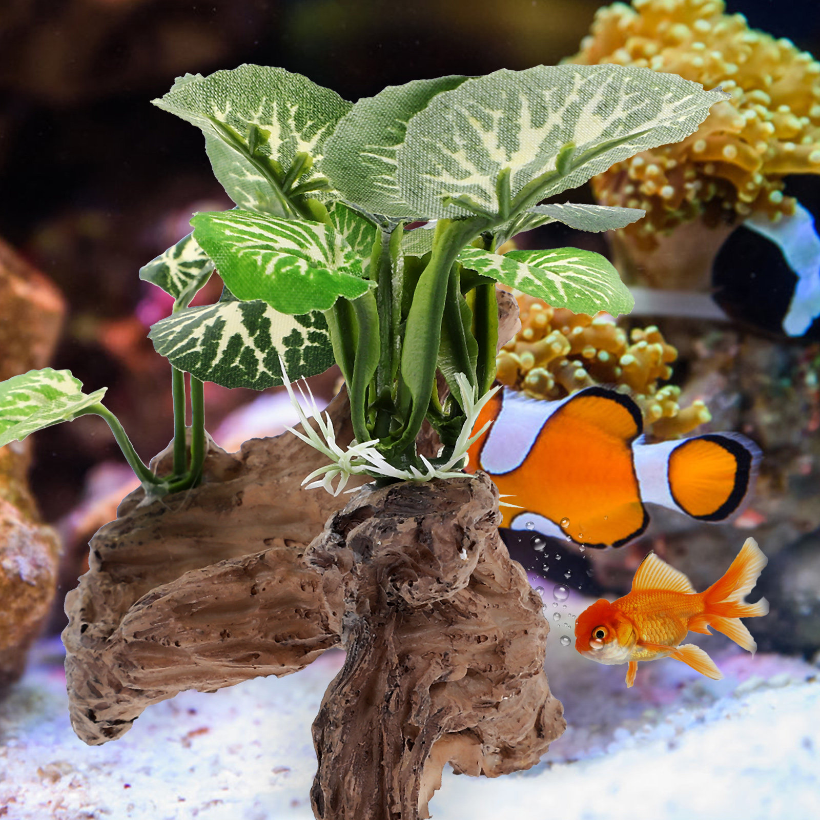 Aquarium Landscape Trunk Fish  - Planted Aquarium Models のレビューと価格