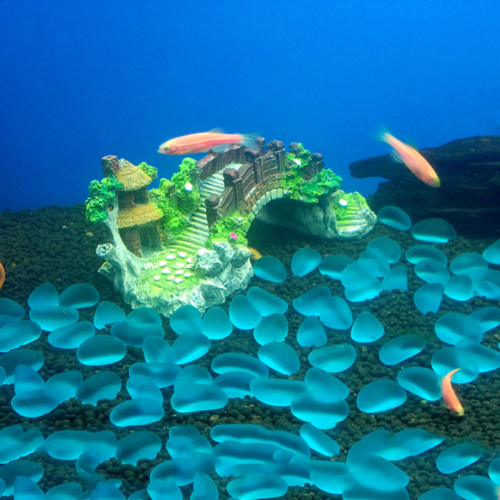 Aquarium Accessories Arbor Tre - Aquarium Planted Substrate のレビューと価格