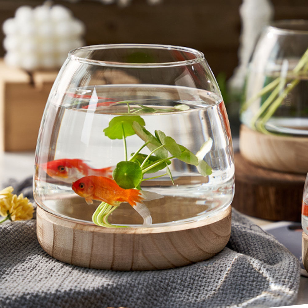 1Set Wooden Base Glass Hydropo - Aquarium Plants のレビューと価格