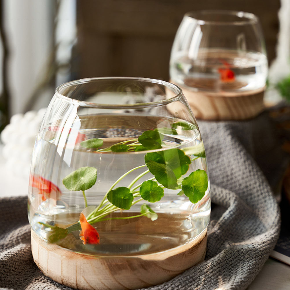 1Set Wooden Base Glass Hydropo - Aquarium Plants のレビューと価格