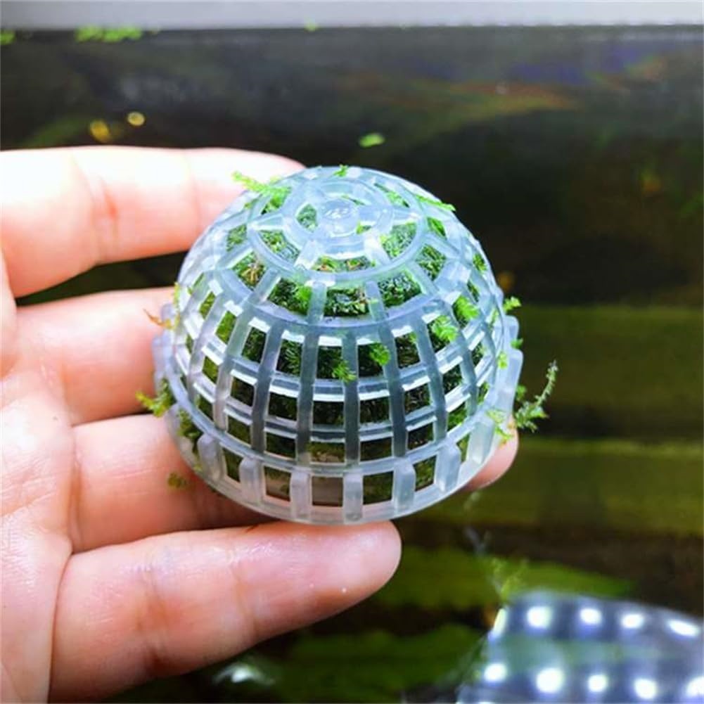 1pc Aquarium Moss Ball Holder, - Planted Aquarium Models のレビューと価格