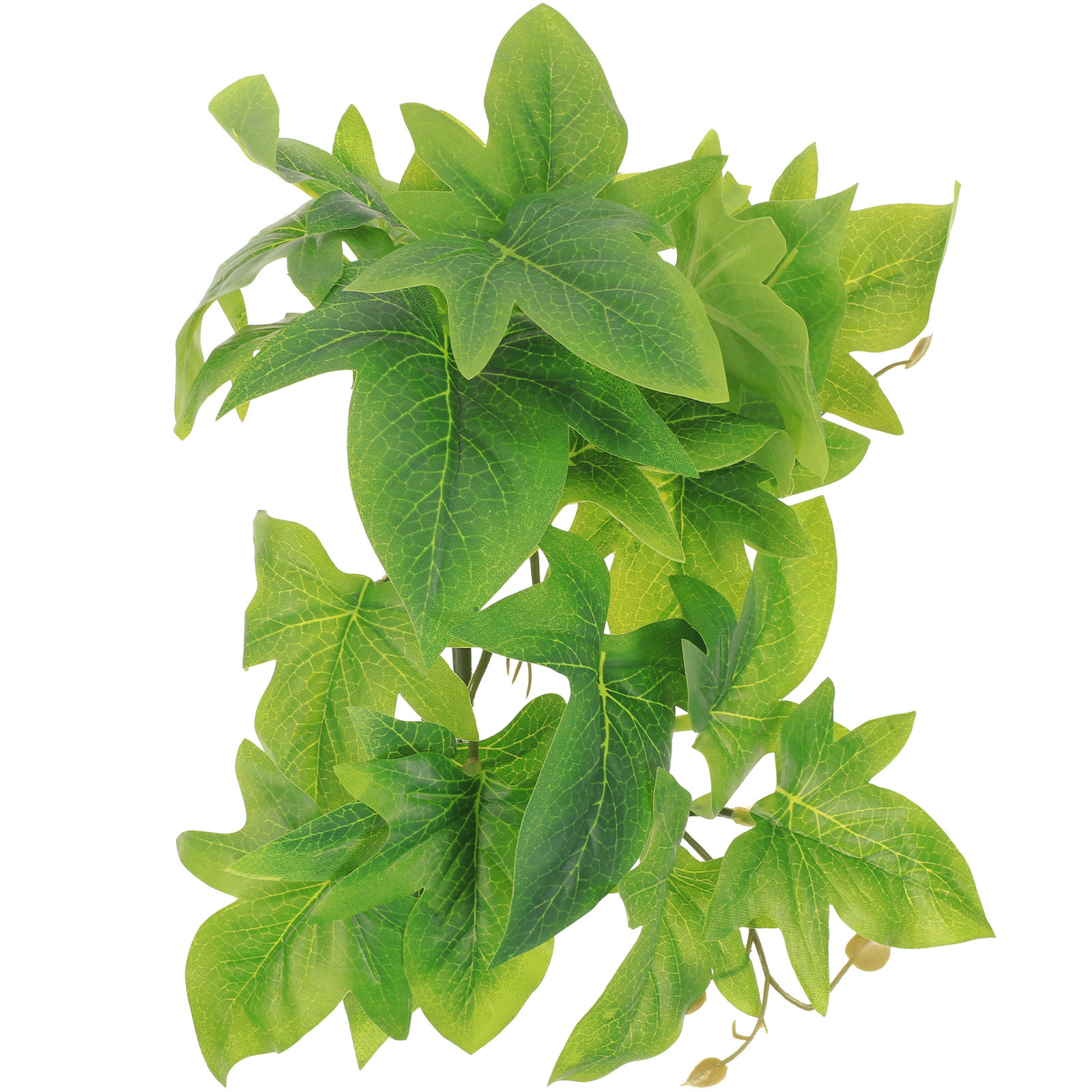 Reptile Terrarium Plant Wall M - Aquarium Plant Vine のレビューと価格
