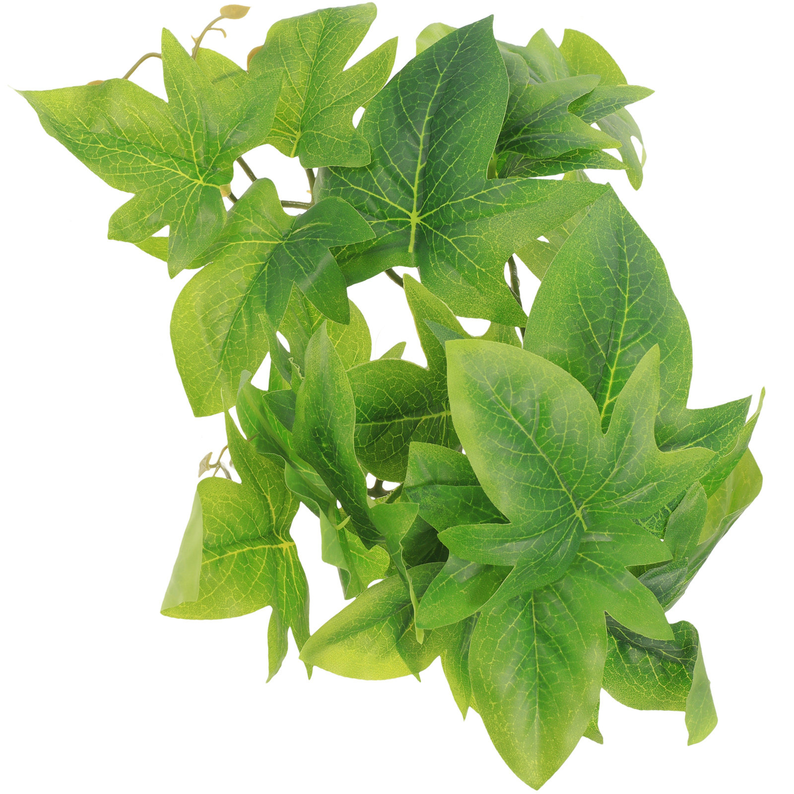 Reptile Terrarium Plant Wall M - Aquarium Plant Vine のレビューと価格