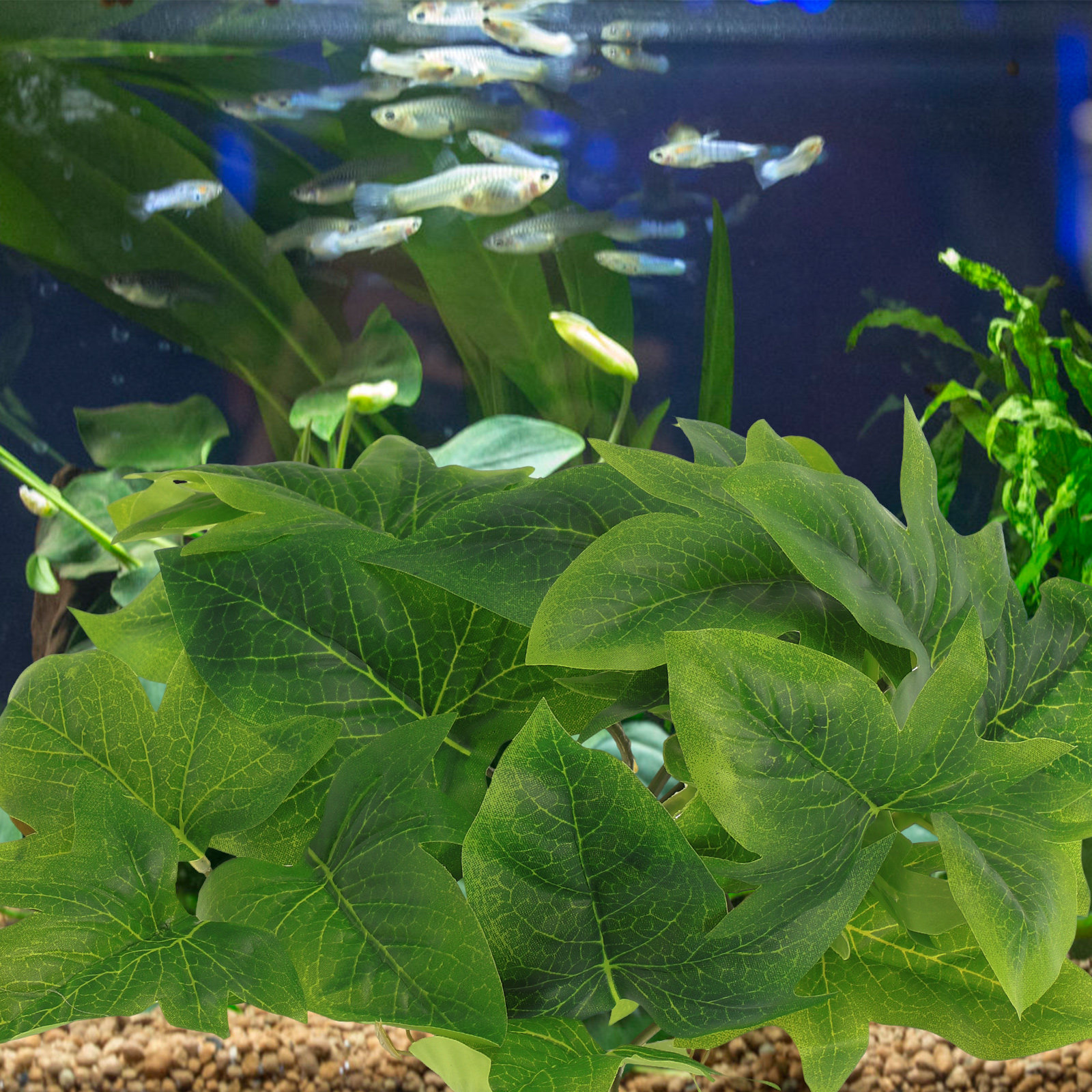 Reptile Terrarium Plant Wall M - Aquarium Plant Vine のレビューと価格