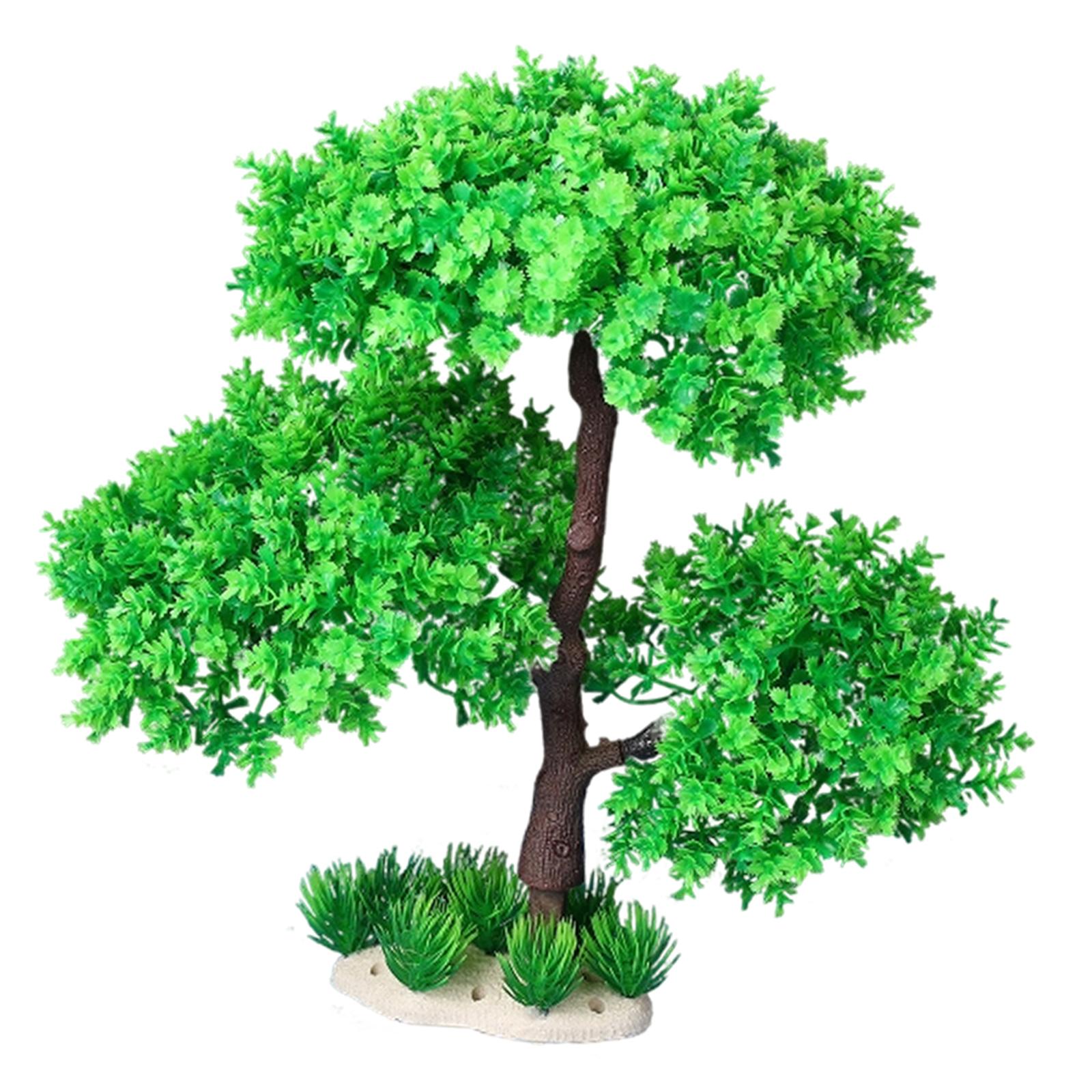 Aquarium Plants for Freshwater - Planted Aquarium Models のレビューと価格