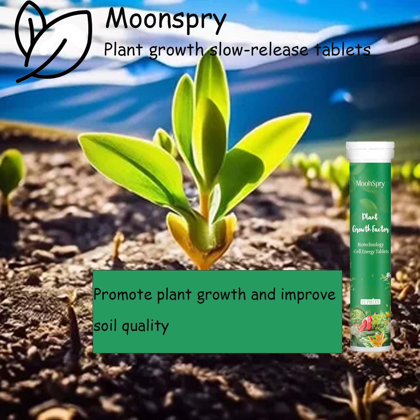Indoor Potted Plant Fertilizer - Liquid Fertilizer All In のレビューと価格