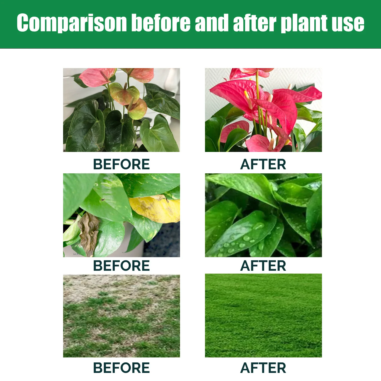 Indoor Potted Plant Fertilizer - Liquid Fertilizer All In のレビューと価格