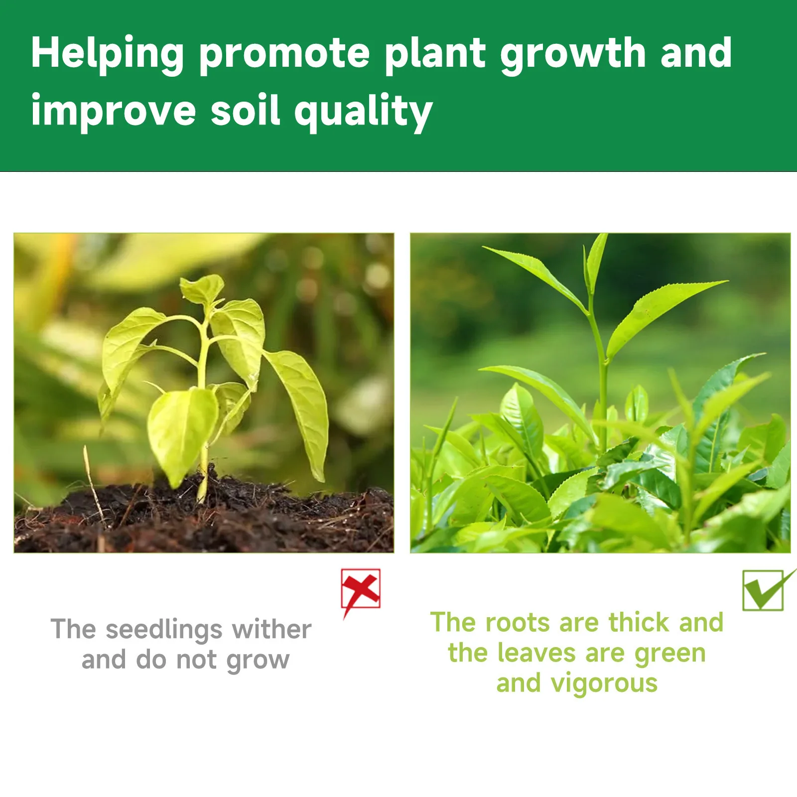 Indoor Potted Plant Fertilizer - Liquid Fertilizer All In のレビューと価格