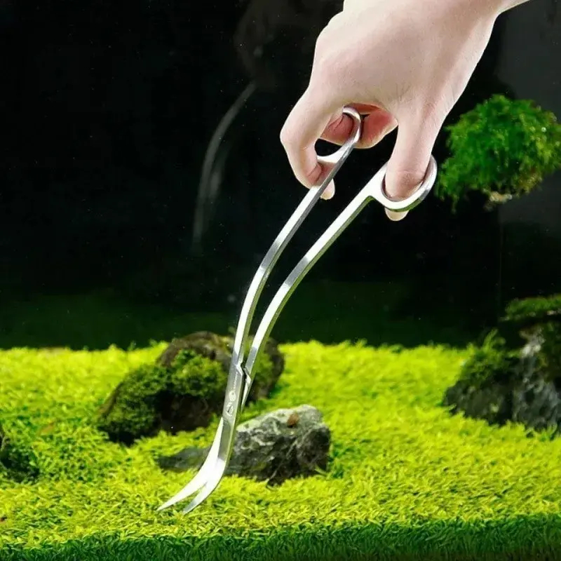 Aquarium Scissors,Extra Long S - Planted Aquarium Products のレビューと価格