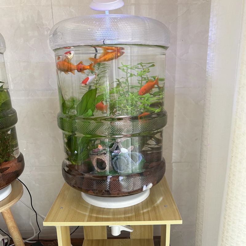 Instant Setup Home Fish Tank 3 - Aquarium Planted Set Up のレビューと価格