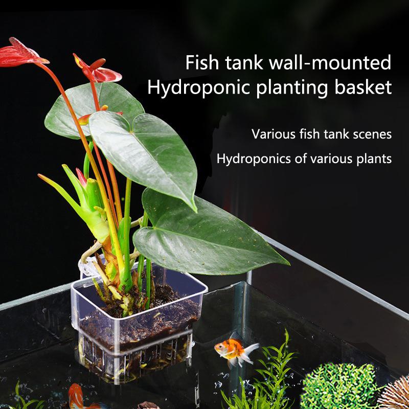 Aquarium Hydroponic Planting C - Aquarium Planted Set Up のレビューと価格
