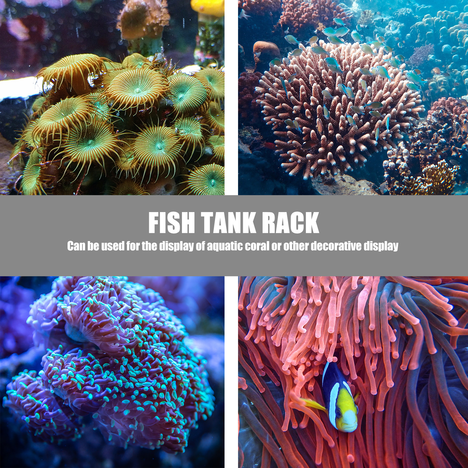 1Pcs Coral Base Stylish Strong - Aquarium Planted Set Up のレビューと価格