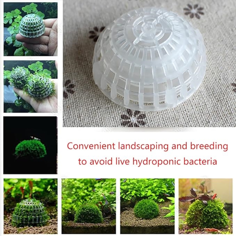 2pc Aquarium Moss Ball Holder, - Planted Aquarium Models のレビューと価格
