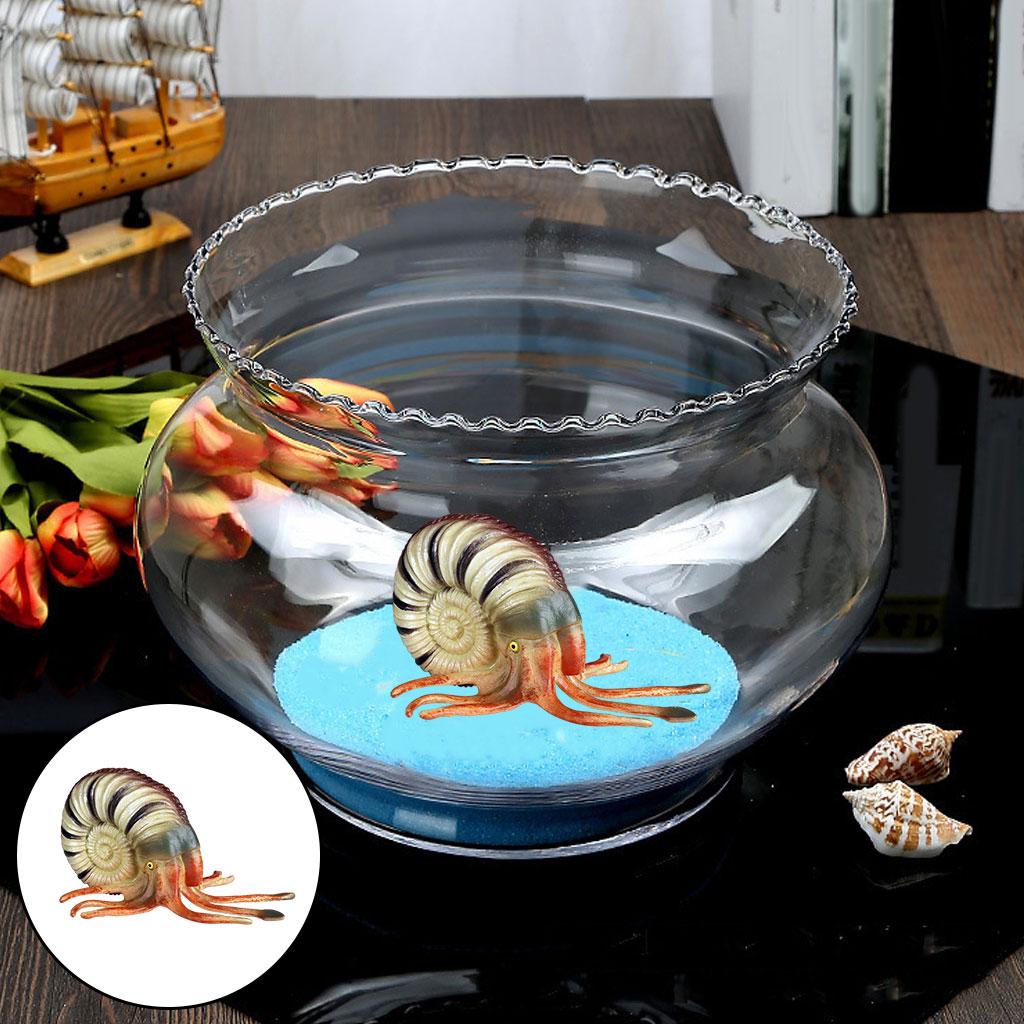 Simulation Conch Animal Figure - Planted Aquarium Models のレビューと価格