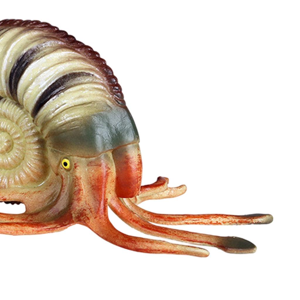 Simulation Conch Animal Figure - Planted Aquarium Models のレビューと価格