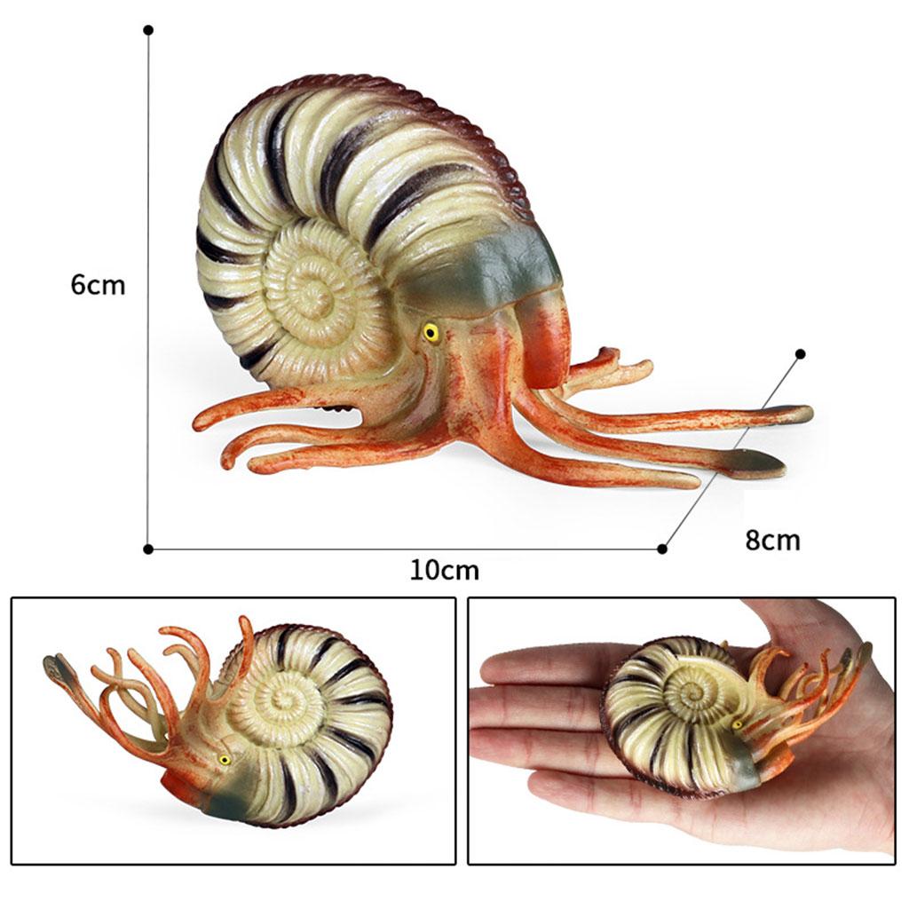 Simulation Conch Animal Figure - Planted Aquarium Models のレビューと価格